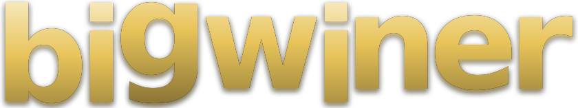 bigwiner logo
